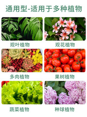 三元複合肥氮磷鉀通用花肥料家用有機緩釋肥化肥綠植盆栽養花蔬菜