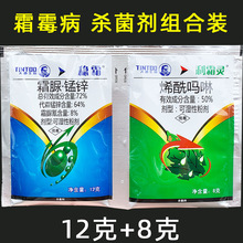 ˪ ϩ ˪i\S˪ùșϩrș