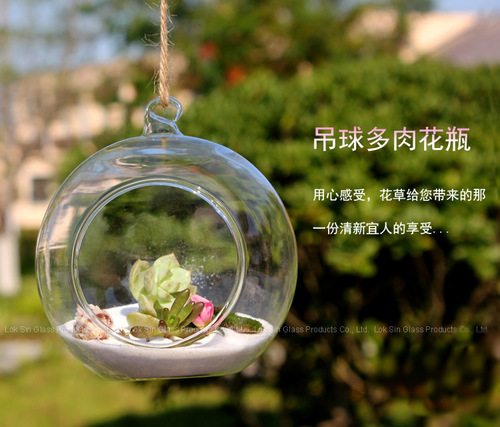 Micro landscape ecological bottle, hanging glass vase, succulent plant vase, wedding crafts