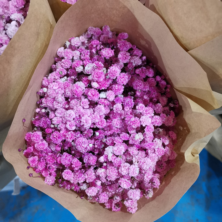 IMG_20200612_205854_副本