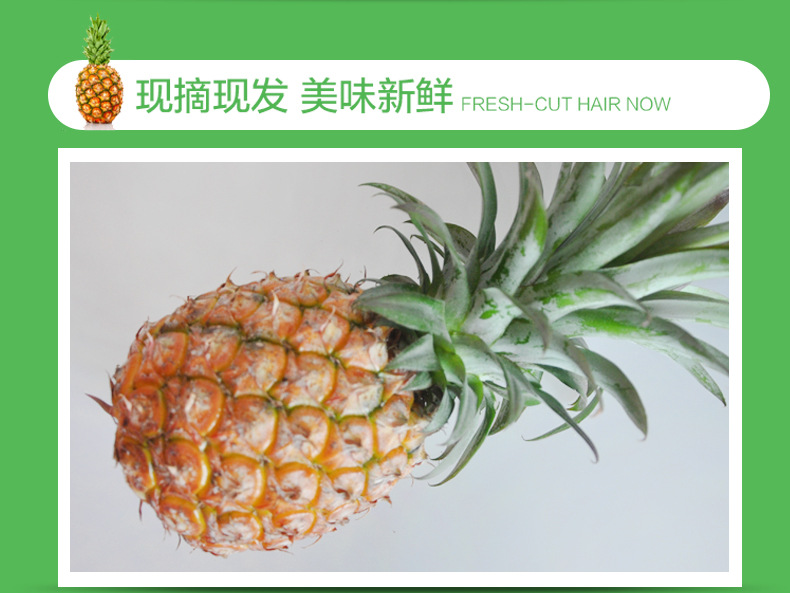 凤梨_10.jpg