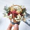 Exit -out rose daisy dried flower basket automobile car decoration Christmas group gift flower shooting props eternal flowers