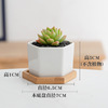 Dongheng multi -meat flower pot potted ceramic creative white flower pot small hexagonal polysmal white porcelain small flower pot set