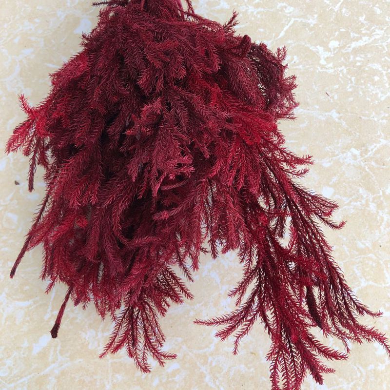 微信图片_20200221143009_副本