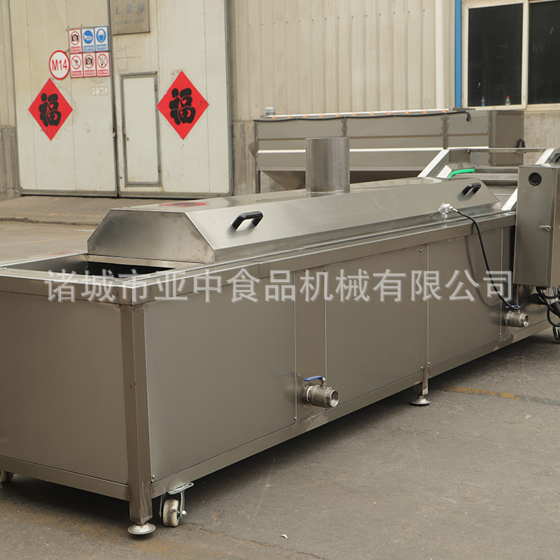 黄花菜漂烫杀青线 豆角预煮断生流水线 网带运行漂烫流水线
