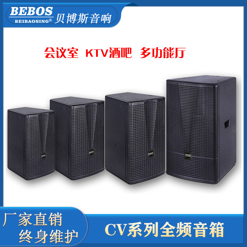 CV系列8寸10寸12寸15寸专 业舞台会议室音箱主扩补声工程全频音响