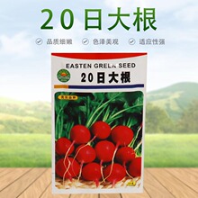 大根蔬菜種子 大根蔬菜種子批發 促銷價格 產地貨源 阿里巴巴