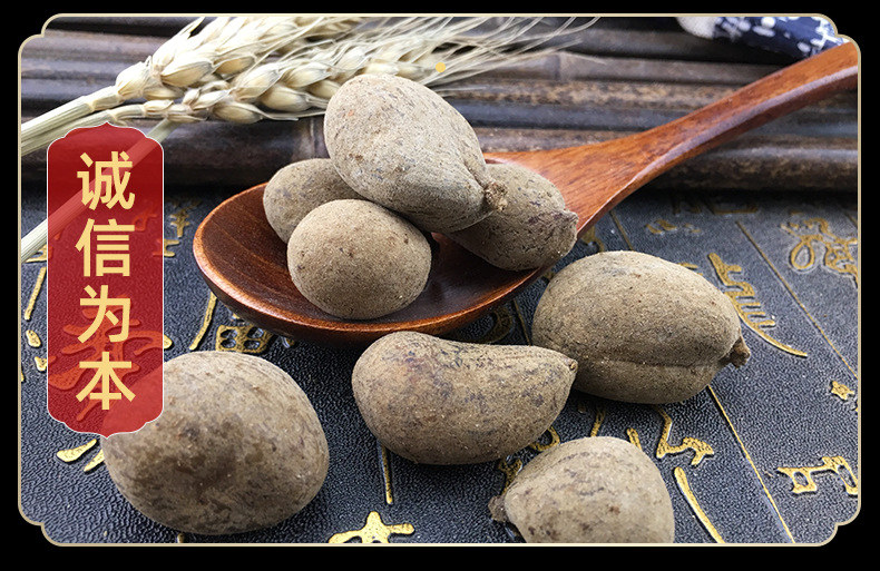 Wu Bei Zi Chinese Gallnuts Dried Wubeizi Bulk Herb Traditional TCM Ingredient 500g in use
