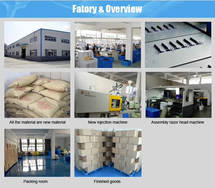 WeChat Picture_20200831134641