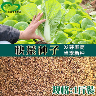 �ļ���˷N�� �r��˵طNֲ�����w�S���͝��ͺ�С�ײ˿��