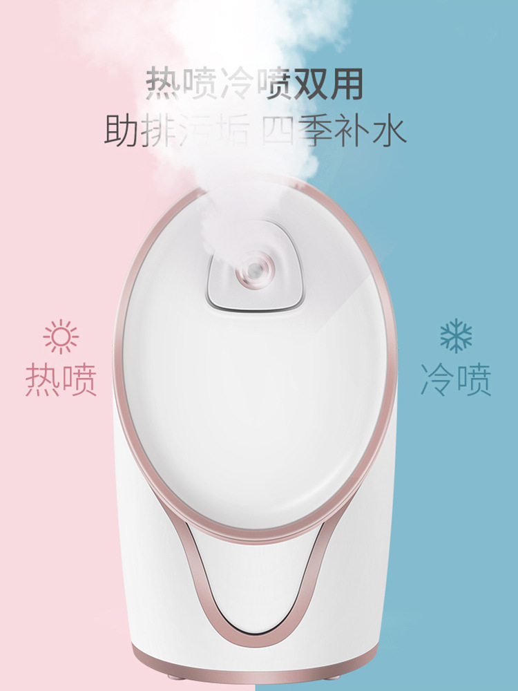 厂家批发冷热喷雾蒸脸仪补水美容仪家用纳米离子喷雾蒸脸蒸面器|ms