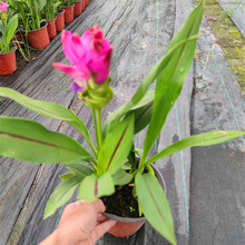 ���۽��ɻ����Ԏ������_���͟�Gֲ���������̨ͥԺ