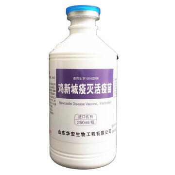 口蹄疫疫苗：保护动物健康的关键屏障