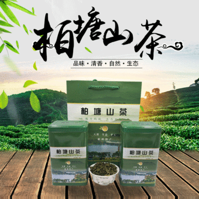 廣東手工綠茶高香炒茶柏塘罐裝山茶甘醇爽口綠茶茶葉農産品批發