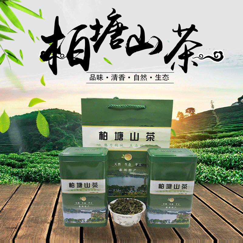廣東手工綠茶高香炒茶柏塘罐裝山茶甘醇爽口綠茶茶葉農産品批發