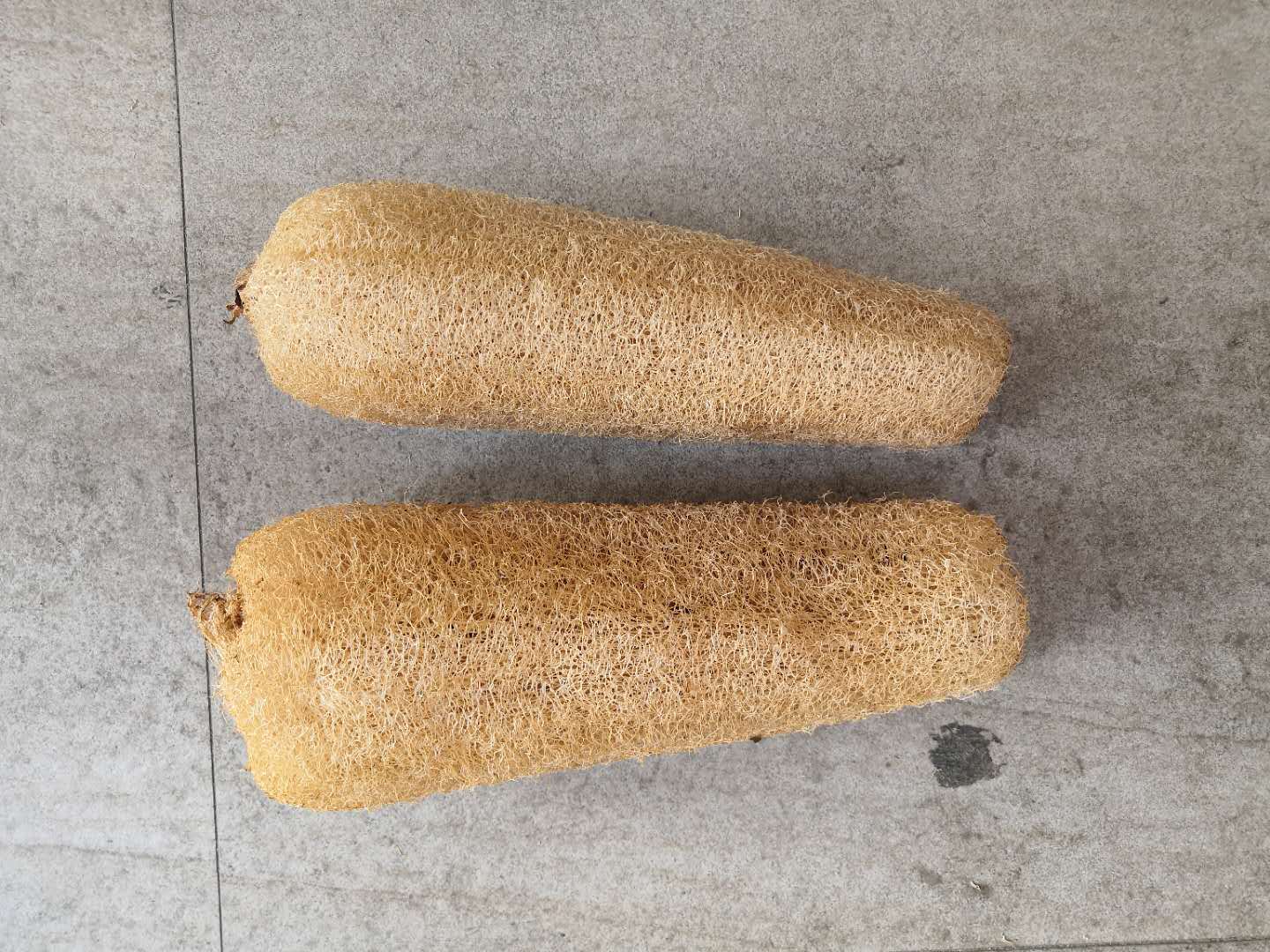 微信图片_20200424073542