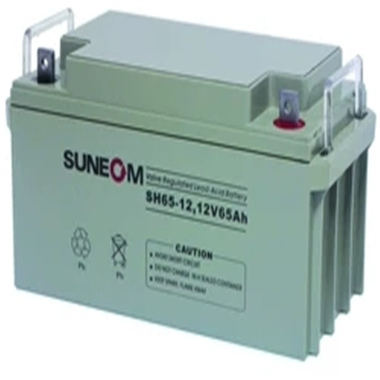 新能SUNEOM蓄电池SH65-12阀控式铅酸12V65Ah电池   UPS储能电源