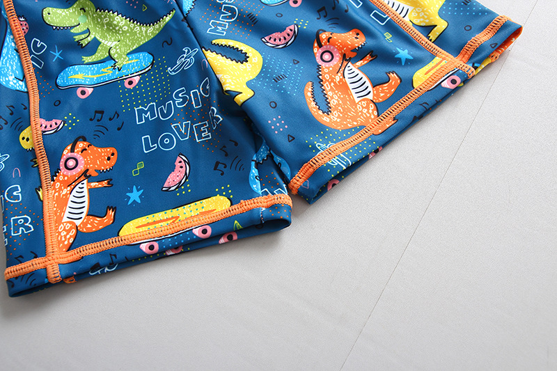 Dinosaur Swimwear