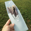 Small handheld brush for traveling, 8 pieces