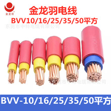 金龙羽电线电缆批发BVV-10/16/25/35/50平方双塑绝缘铜芯电线