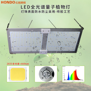 ����led���Ӱ��ȫ���Vֲ�����L�K�{��л����҃ȷNֲ�a���