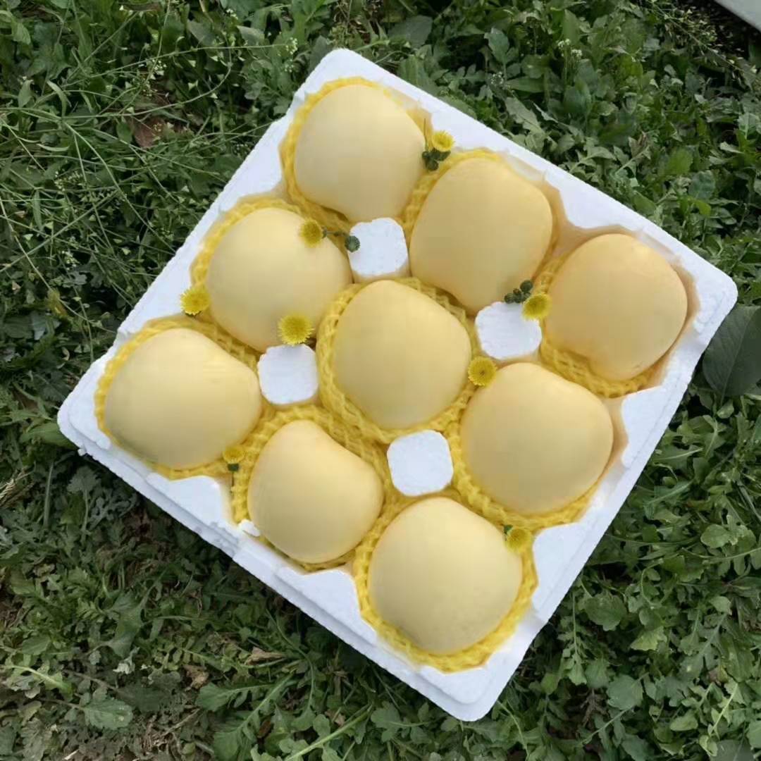 烟台奶油富士5斤黄金苹果一件代发|ms