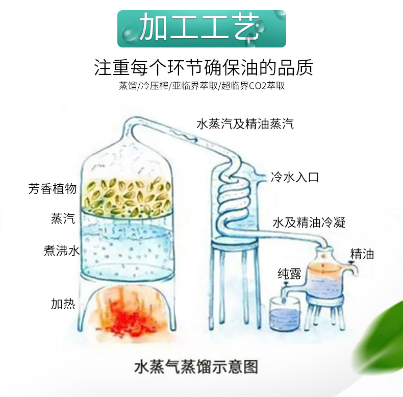 玫瑰精油详情页-恢复的_03