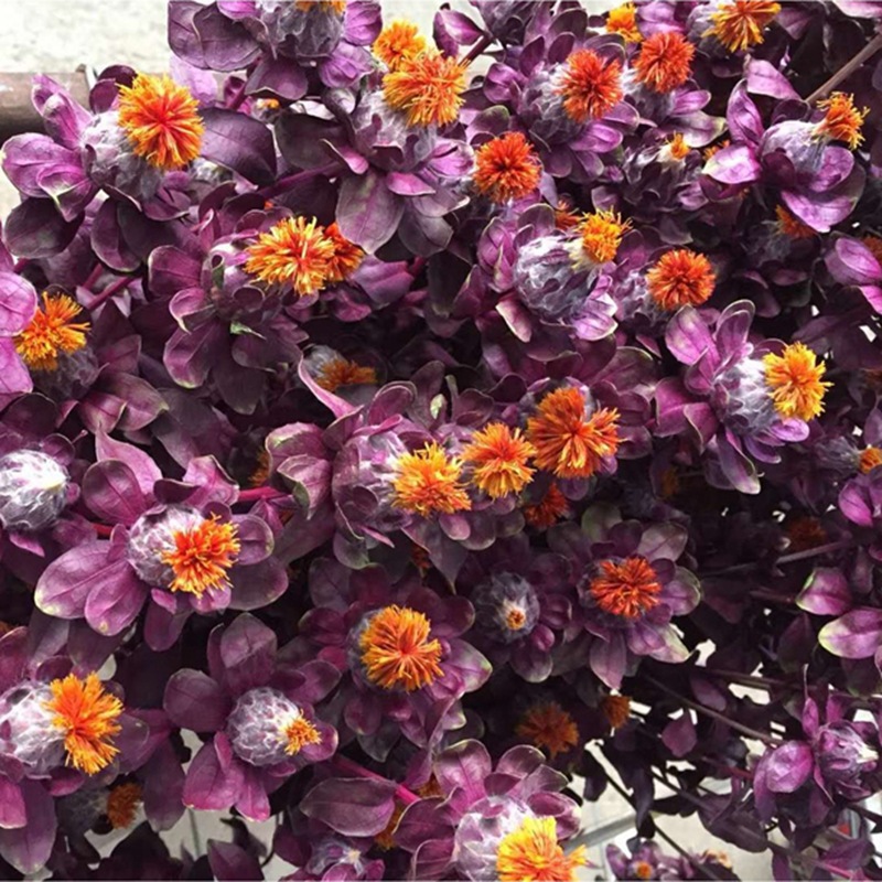 微信图片_20200209013014