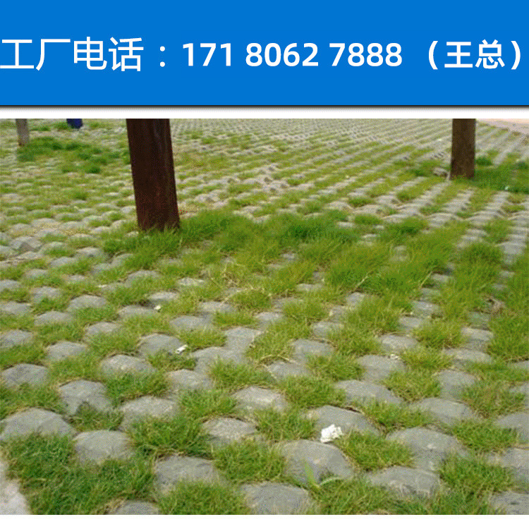 厂家优等 植草砖、马路砖 空心植草砖 多孔植草砖 单排圆孔草坪砖