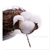 Cotton decorations, props, handmade, wholesale, handicrafts