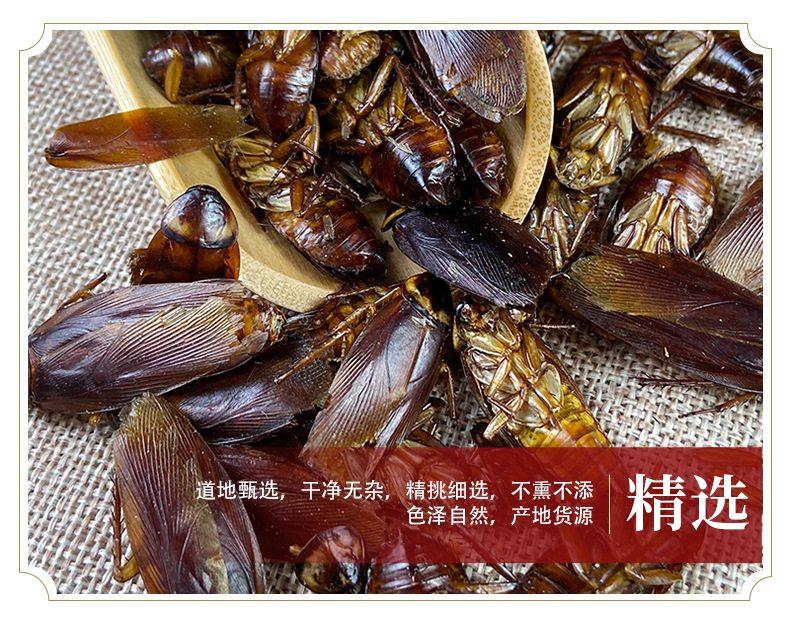 Dried Cockroach Whole Insect Yan Lang 500g Traditional Chinese Herbal Material Sun Dried key features