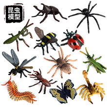 兒童仿真野生昆蟲動物模型迷你蝴蝶蜜蜂蜘蛛螳螂蠍子蜈蚣蜻蜓玩具