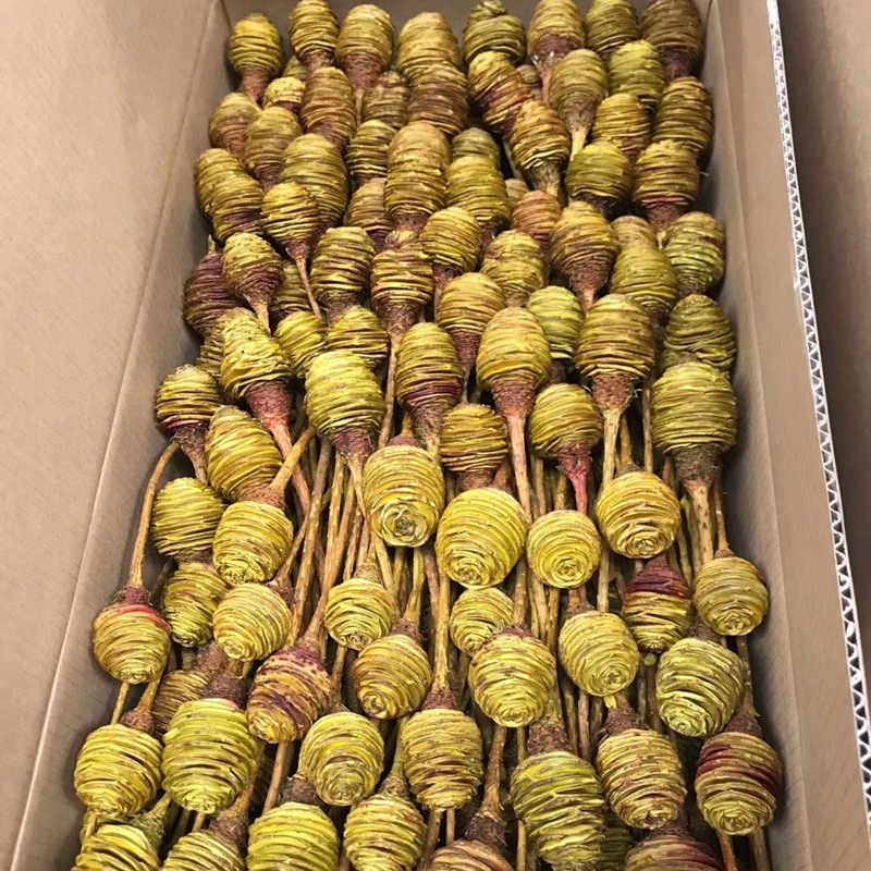 微信图片_20200410120321