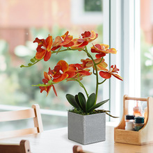 m滨b辰ٻm͏dҕbָлܔ[