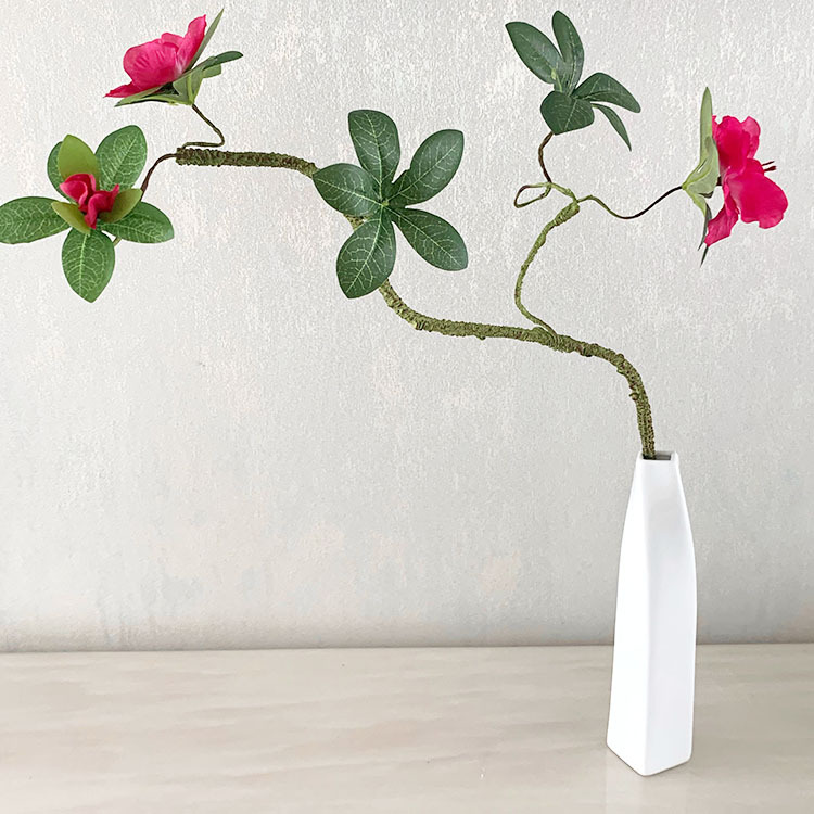 QQ图片20200618105932