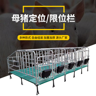 母猪定位栏限位栏猪圈围栏复合漏粪板母猪产床养猪用设备保育包邮-阿里巴巴