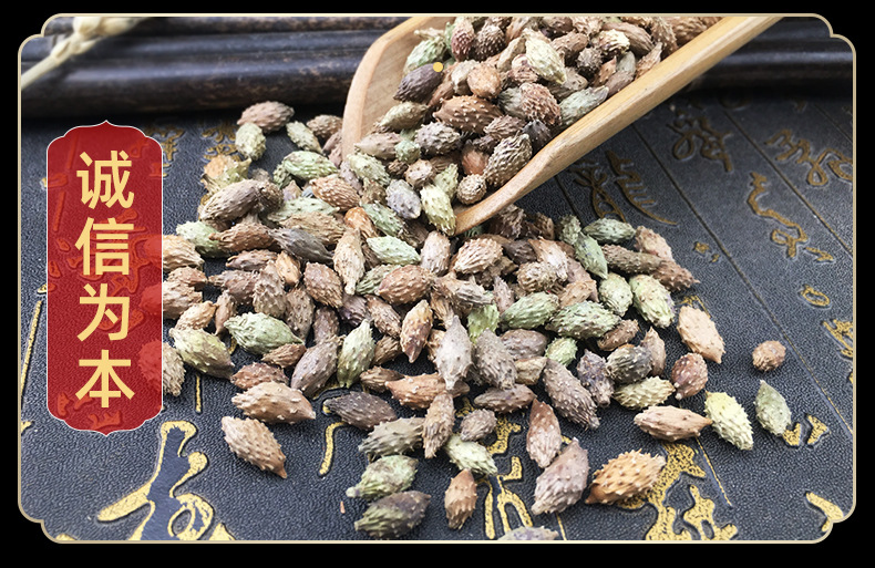 Cang Er Zi Dried Xanthium Fruit Whole Herb Bulk Traditional Chinese Herbal Ingredient 500g in use