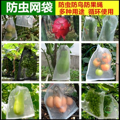水果防蟲袋防鳥果蠅番茄葡萄火龍果保護套袋黑色尼龍網袋浸種子袋