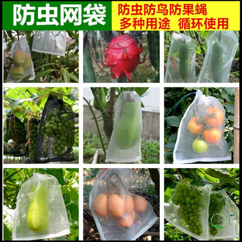 水果防蟲袋防鳥果蠅番茄葡萄火龍果保護套袋黑色尼龍網袋浸種子袋