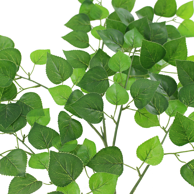 XRB-020 柏树叶五叉枝 (2).jpg