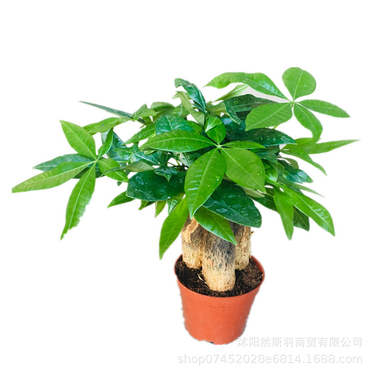 QQͼƬ20200803182124