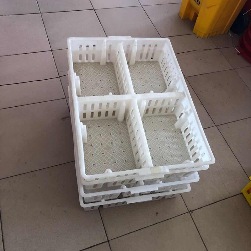 Caja de rotación de plántulas de pollo de plástico de cuatro rejillas caja de partición de transporte de pato que lleva equipo de cría de aves de corral de ganso de plántulas de pollo