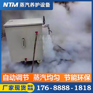 蒸汽发生器 梁场T梁专用蒸汽养护设备 冬季混凝土养护设备