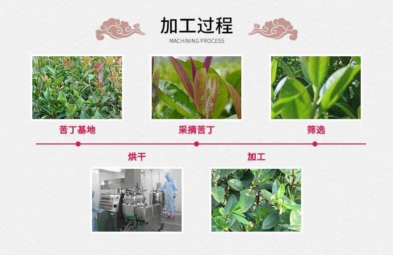 Ku Ding Tea (Ilex kudingcha) — Guizhou Large-Leaf Bitter Tea, Grade 1, 500g Loose Leaf preparation