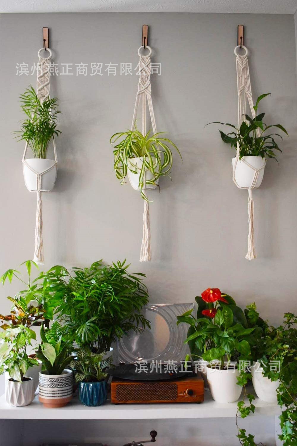 71e2WuNt6sL._AC_SL1500_