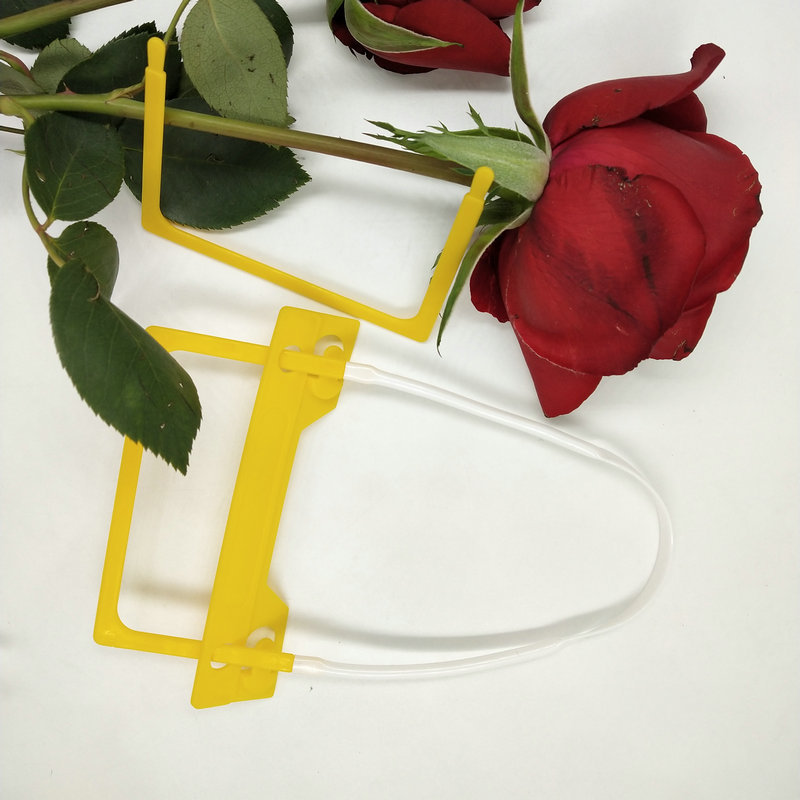 B0E9F0599D7554F04D9DD289D13007