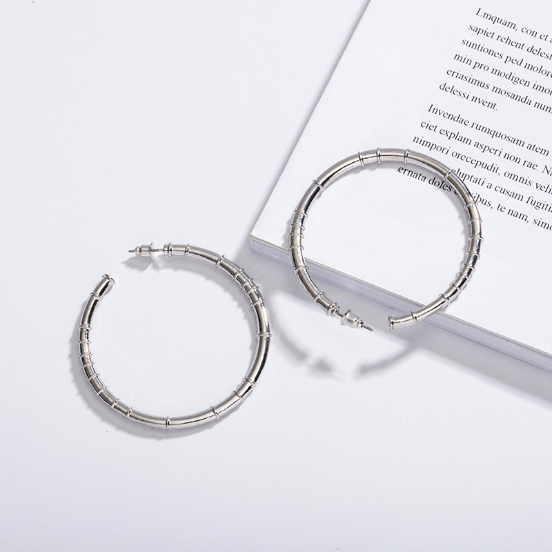 New Trendy Fashion Exaggerated Circle Earrings display picture 2