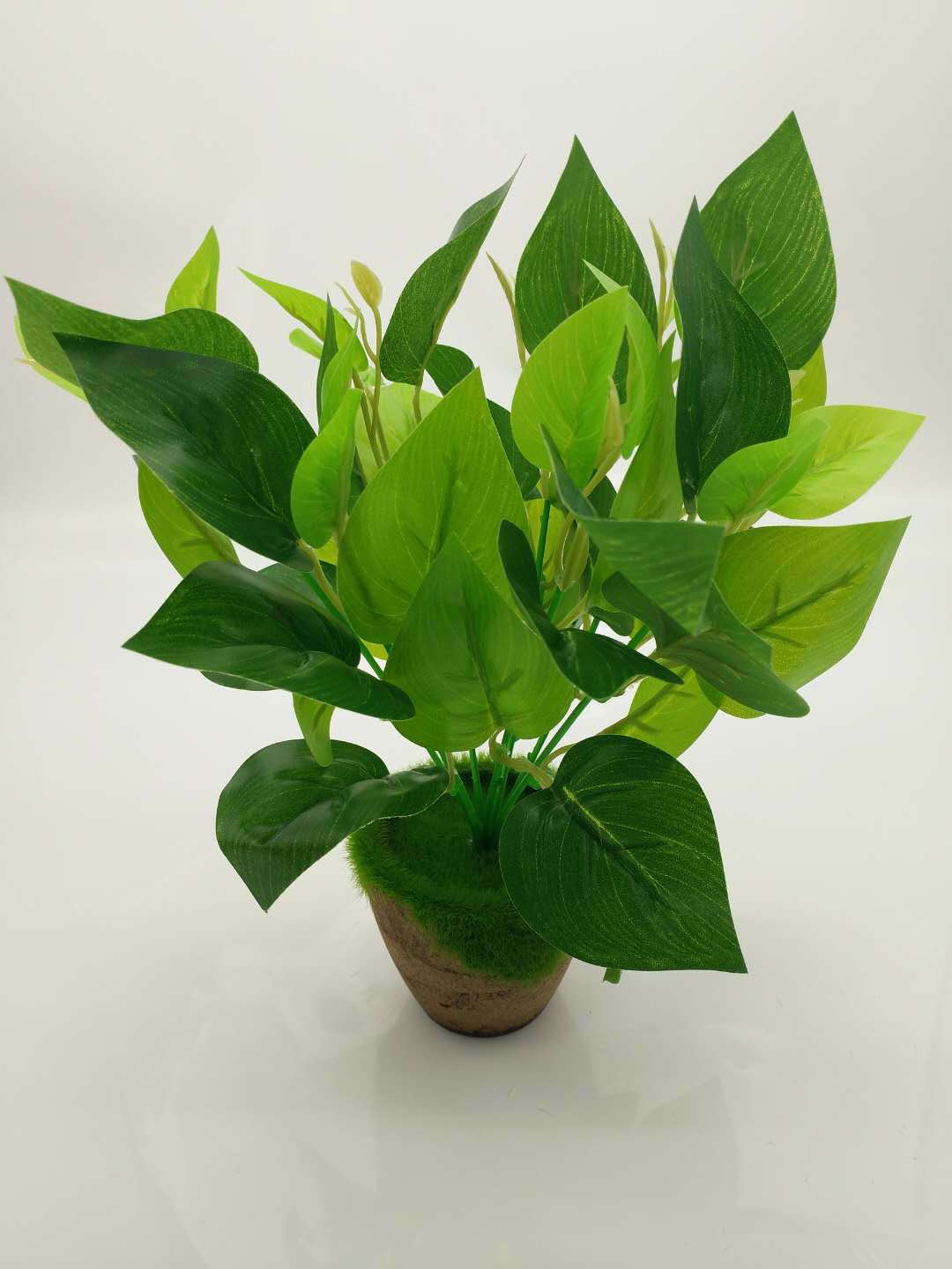 WeChat 圖片_20200704114612