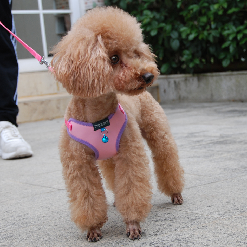 pet products harness vest mesh