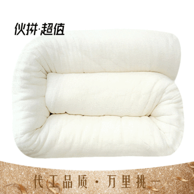 冬季新款千层棉花被子学生宿舍家用8斤棉被棉絮床上垫被褥子加厚|ru